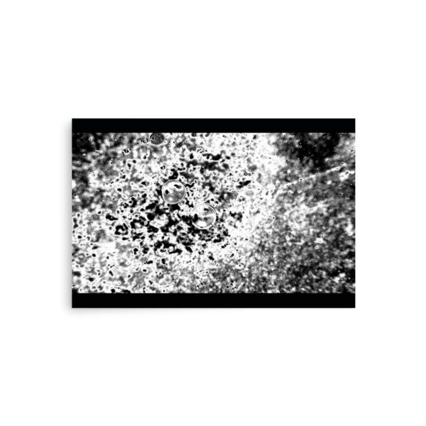 Epithelium Poster - Image 3