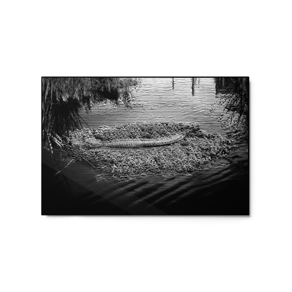 Unknown Treasures - Metallic Print - Image 2