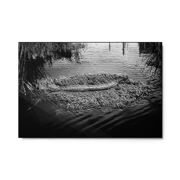 Unknown Treasures - Metallic Print