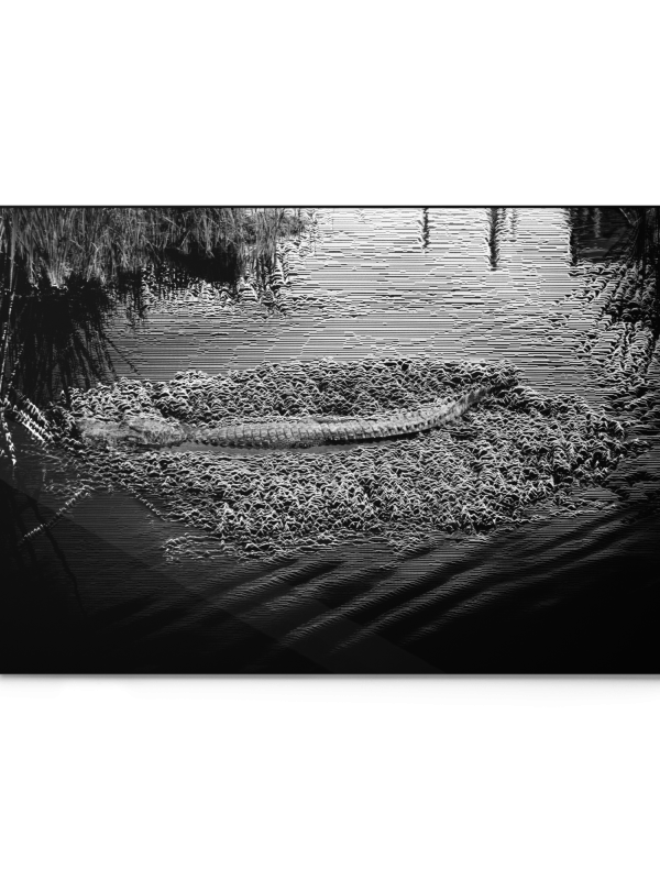 Unknown Treasures - Metallic Print