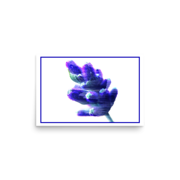 Poiple Pose - Image 2