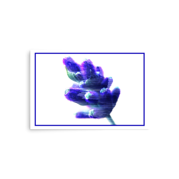 Poiple Pose - Image 3