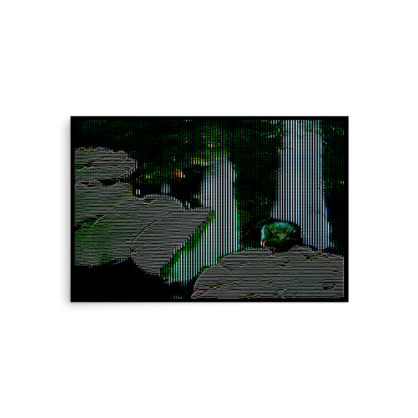 Frog fractures - Image 3