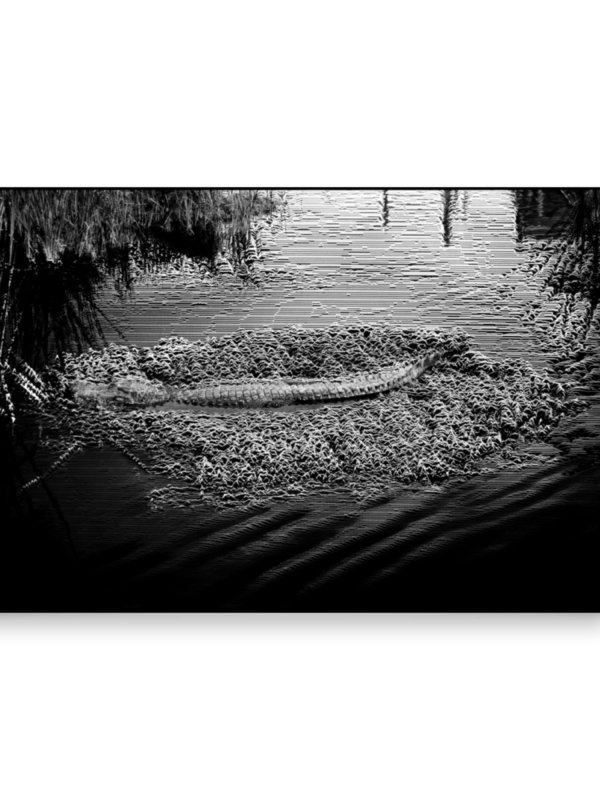 Unknown Treasures Poster